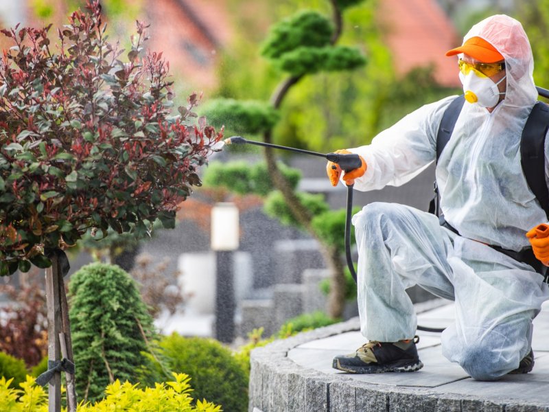 Kırkağaç Haşere İlaçlama